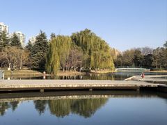 -白塘生态植物园