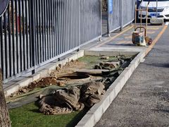 -中国第四纪冰川遗迹陈列馆