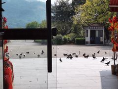 -南华寺素食馆(南华禅寺店)