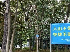 -中山市树木园