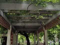 -郑和公园