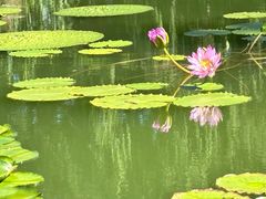 -国家植物园南园