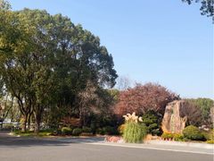 -昆山城市生态森林公园