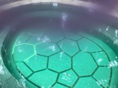-融汇温泉