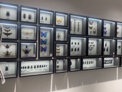 -酷嗒动物文化乐园(cutezoo西溪乐天城店)