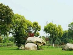 -昆山城市生态森林公园