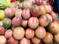 -鸿港海鲜批发市场