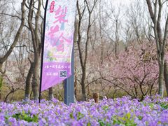 -江苏三台山国家森林公园
