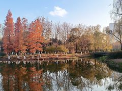 -白塘生态植物园