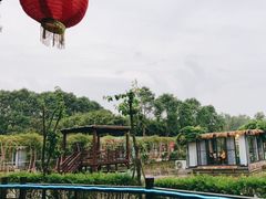 -洪湖家庭农场·团建·露营·会议