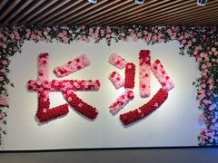 -夏雪花·手工拉面(南油店)