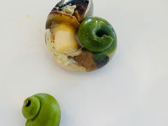 -魚當家
