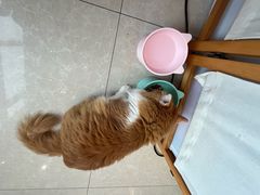 -氷冰凉刨冰甜品(北京路店)