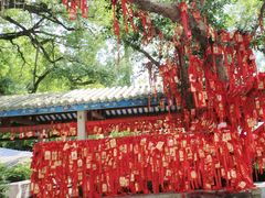 -国恩寺