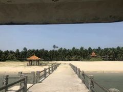 -东郊椰林
