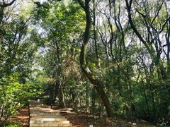 -岳麓山风景名胜区