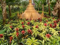 -南宫五洲植物乐园