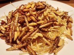 -缘生态云南菜·野生菌庭院餐厅(华侨城店)