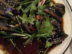 -新兴家喻酒家·羊城名宴(昌岗店)