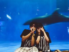 -华夏文旅海洋公园