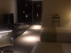 -国家会议中心大酒店