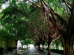 -海南热带海洋学院(三亚校区)