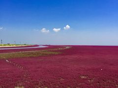 -红海滩国家风景廊道