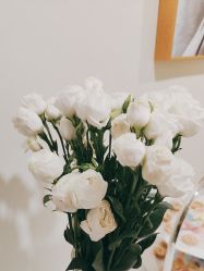 -海涛医疗美容·面部抗衰·注射美鼻