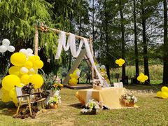 -南宁良凤江国家森林公园