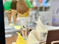 -野人先生Gelato(上海长宁龙之梦店)