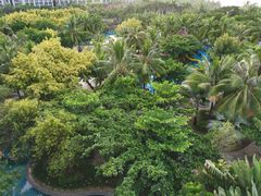 -三亚海棠湾万丽度假酒店