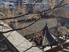 -戏马台景区