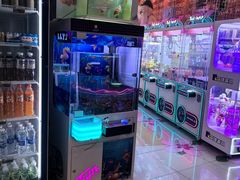 -汤姆熊欢乐世界(滨江店)