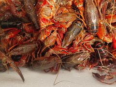 -三个渔夫·蒸汽海鲜(小白楼店)