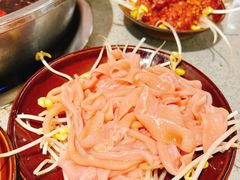 鸭肠-华丰火锅(双林北横路店)
