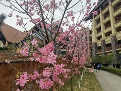 -韶关经律论国际酒店温泉