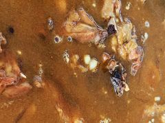 -如意农家院(胡关路店)