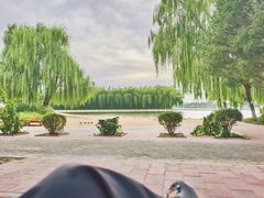 -大兴滨河森林公园