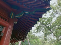 -大觉寺-停车场