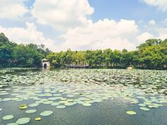 -老木棉·匠园