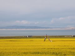 -青海湖国家重点风景名胜区
