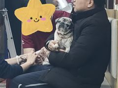 -美联众合动物医院·24h转诊中心