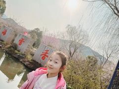 -香雪海