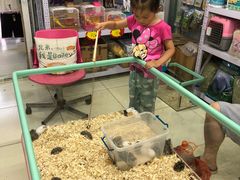 -钓仓鼠(洋桥北里小区店)