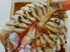 -九井澤精致料理(金茂店)