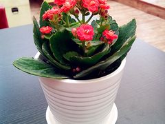 -燕庭·纯燕窝·甜品下午茶(南京西路店)