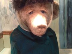 -济州岛泰迪熊博物馆