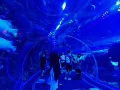 -成都浩海立方海洋公园