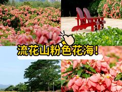 -深圳湾公园(南山区)