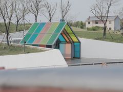-荷兰花海